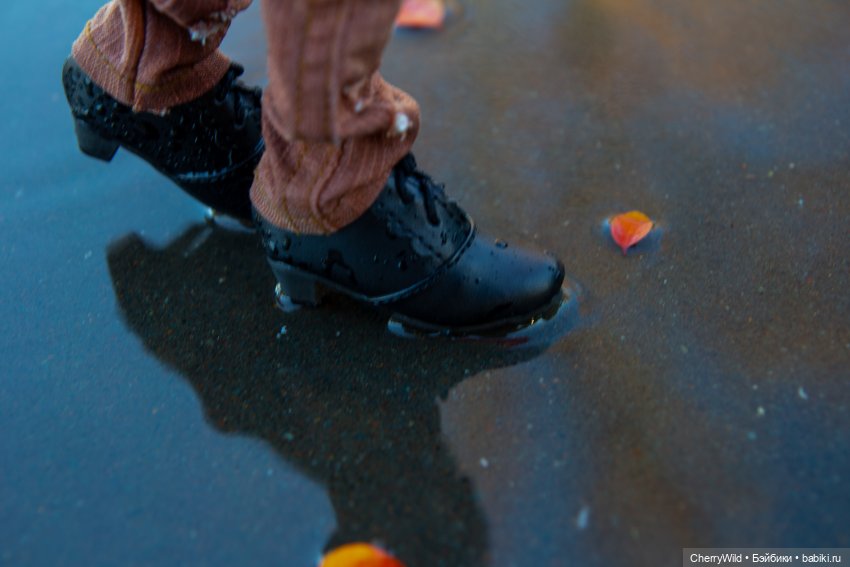 Дождь. Ноябрьское, с горькими нотками