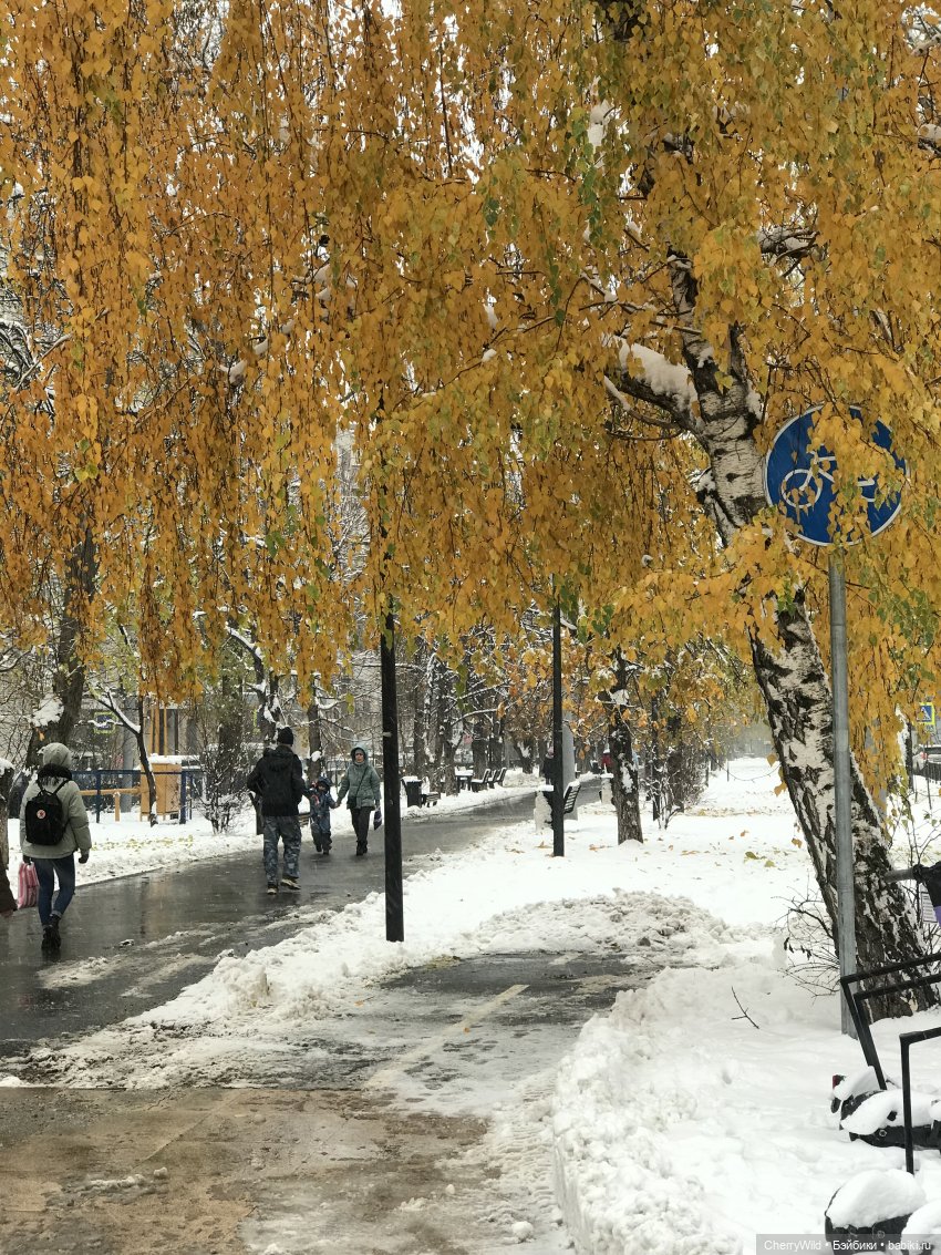 Осеннее, немного снежное — Куклы Dollshe Craft (Доллше): BJD (БЖД)