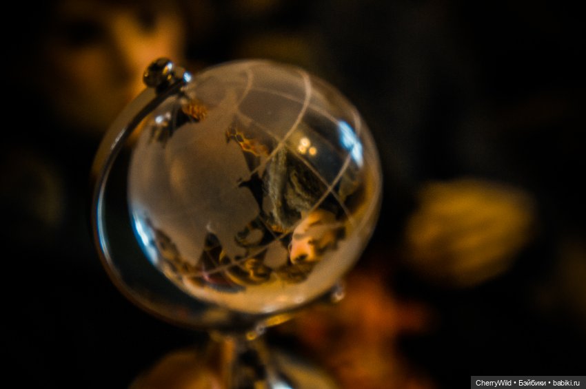 Все к лучшему в этом лучшем из миров (фото 7)