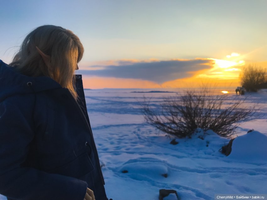 Все к лучшему в этом лучшем из миров
