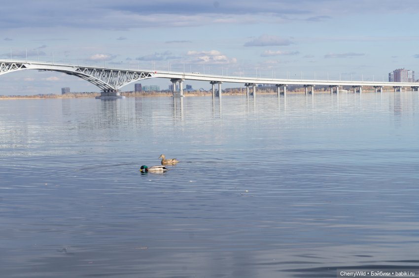 История одного конкурса. Этап третий - второе свидание | Бэйбики История одного конкурса. Этап третий - второе свидание (фото 4)
