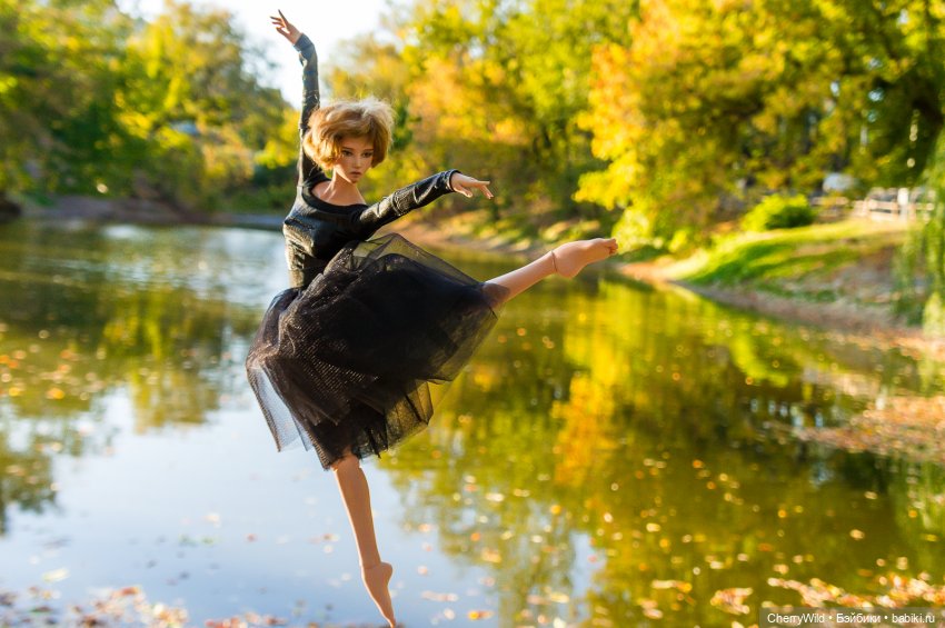 Чёрный лебедь. Постконкурсное (фото 6)