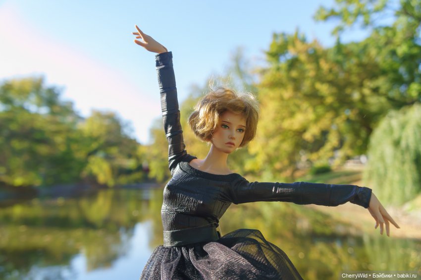 Чёрный лебедь. Постконкурсное (фото 5)