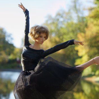 Чёрный лебедь. Постконкурсное.