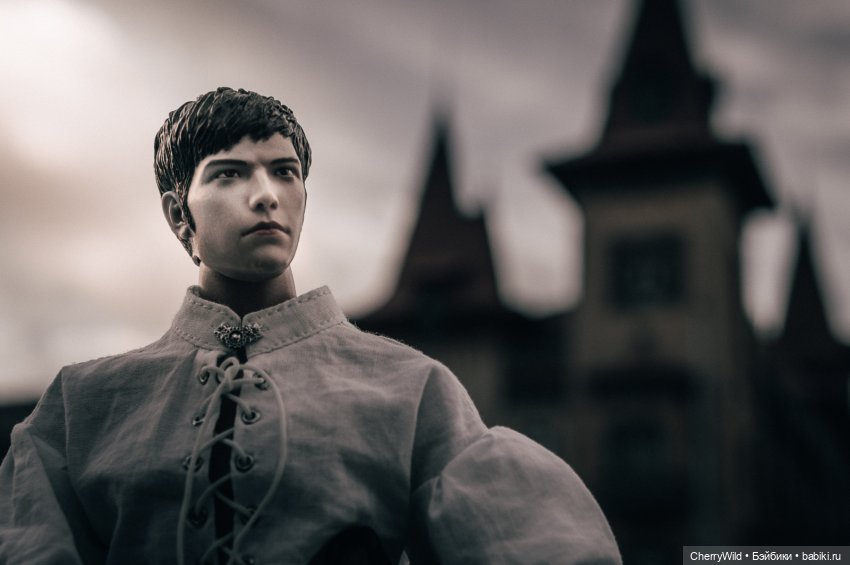 Шарлевиль — Кукольные фотоистории и сериалы: комиксы