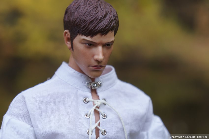 Шарлевиль — Кукольные фотоистории и сериалы: комиксы