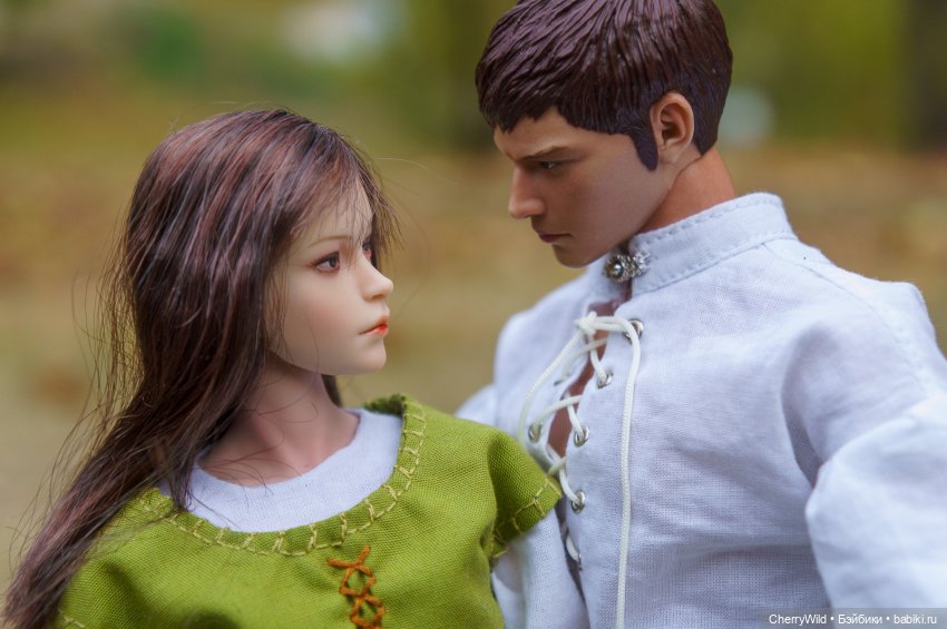 Шарлевиль — Кукольные фотоистории и сериалы: комиксы