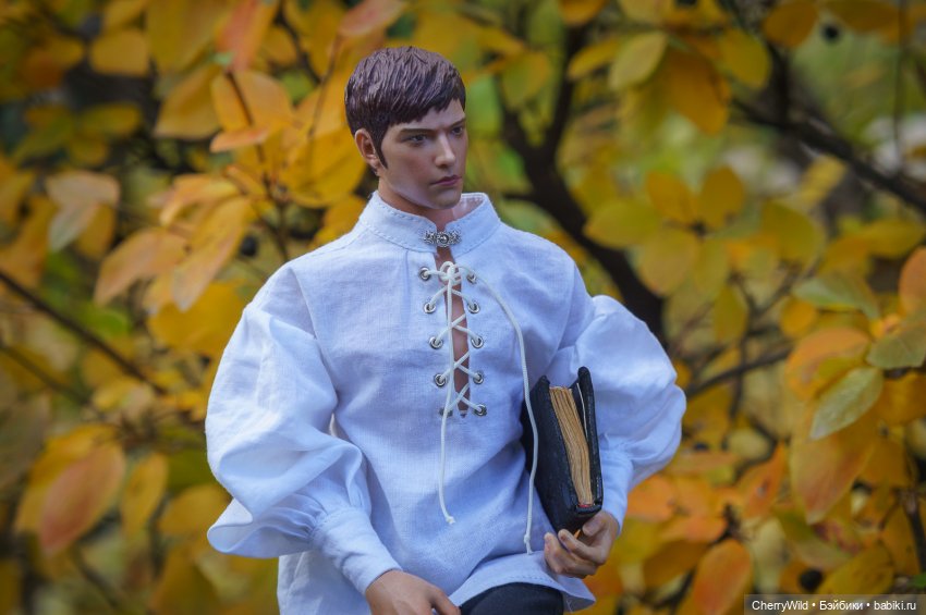 Шарлевиль — Кукольные фотоистории и сериалы: комиксы (фото 7)