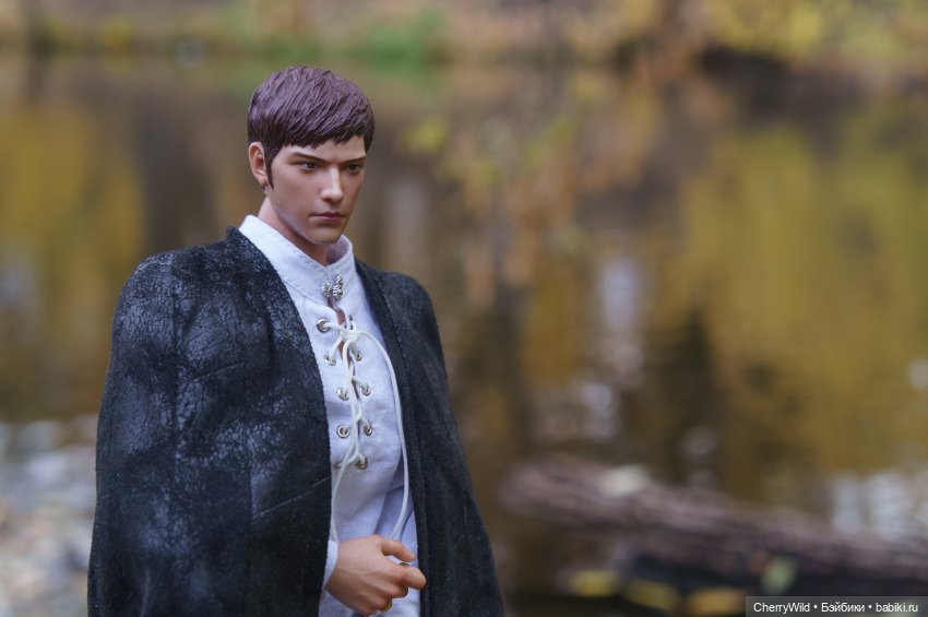 Шарлевиль — Кукольные фотоистории и сериалы: комиксы