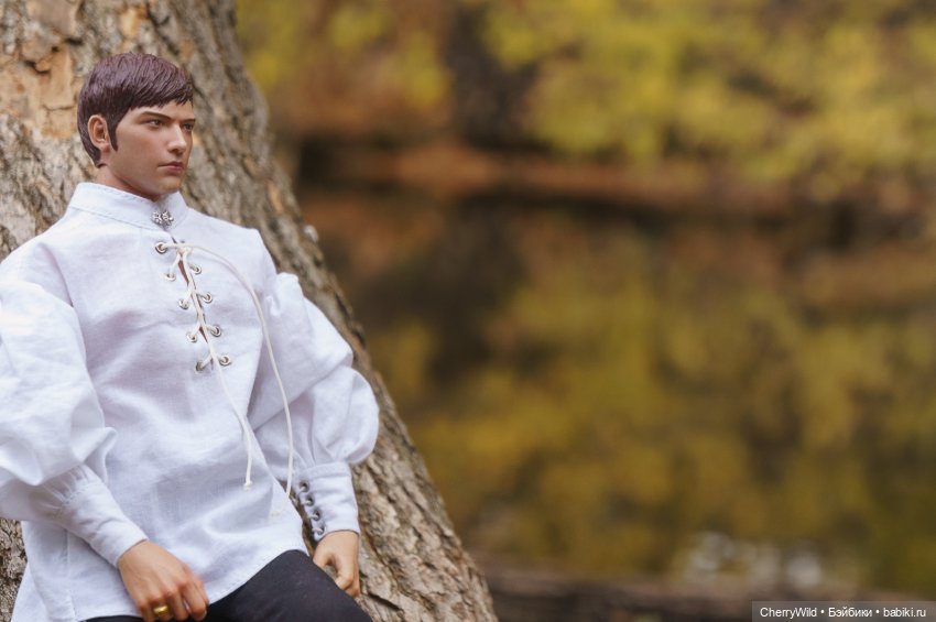 Шарлевиль — Кукольные фотоистории и сериалы: комиксы (фото 2)