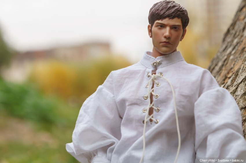 Шарлевиль — Кукольные фотоистории и сериалы: комиксы (фото 3)