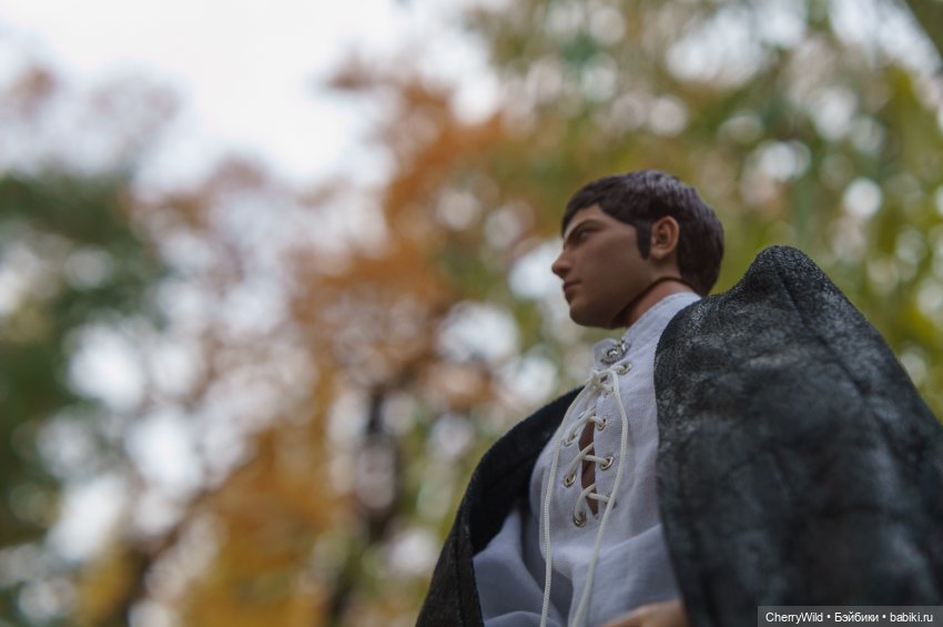 Шарлевиль — Кукольные фотоистории и сериалы: комиксы