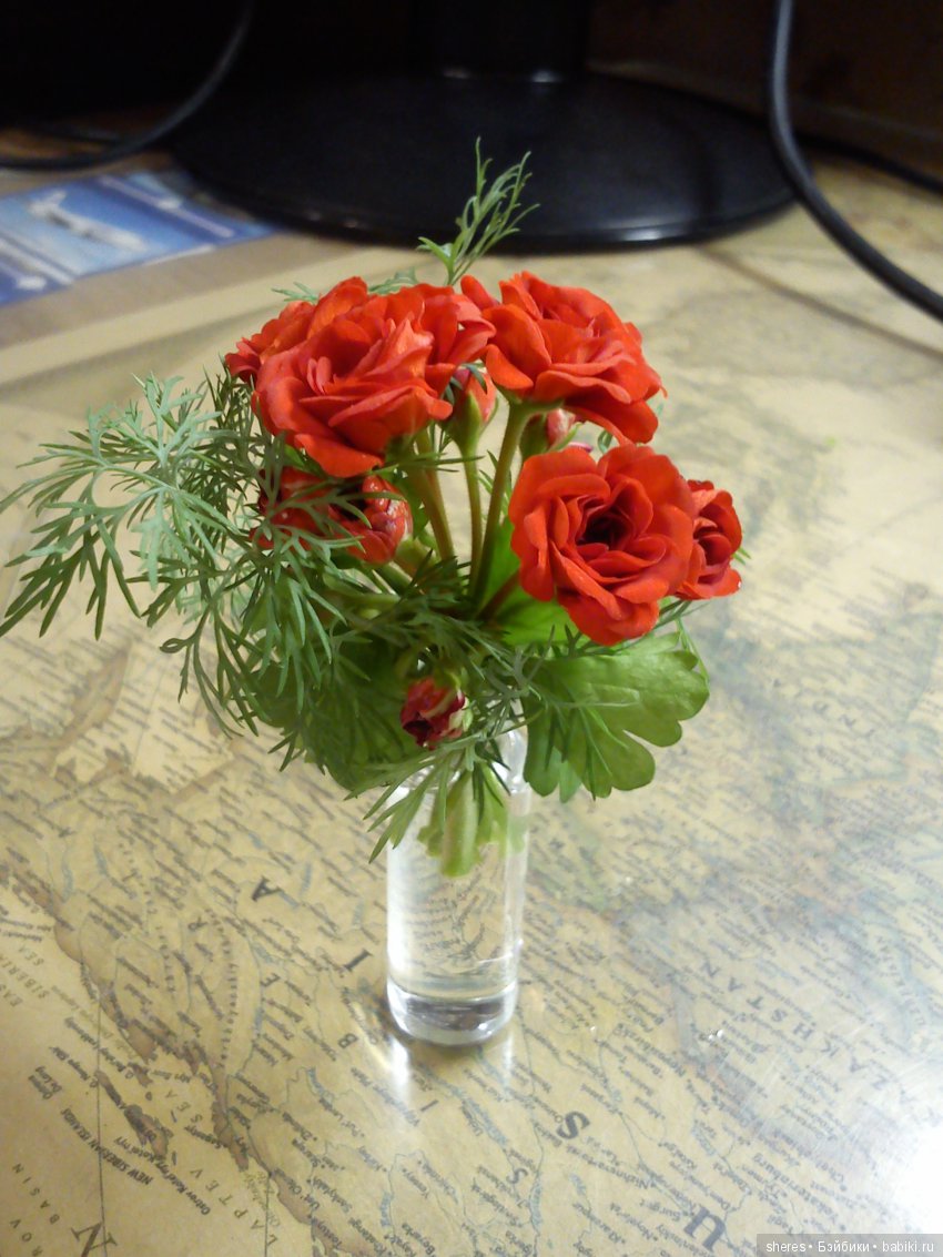 Внимание! Цветы живые! Реальный размер.