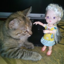 У семи нянек дитя без глаза