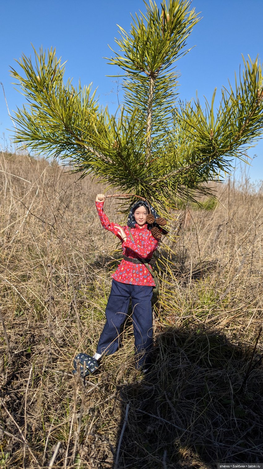 Полевой цветок — Коллекционные экшн (фото 10)