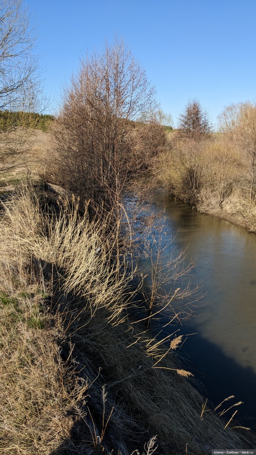 Полевой цветок — Коллекционные экшн (фото 5)