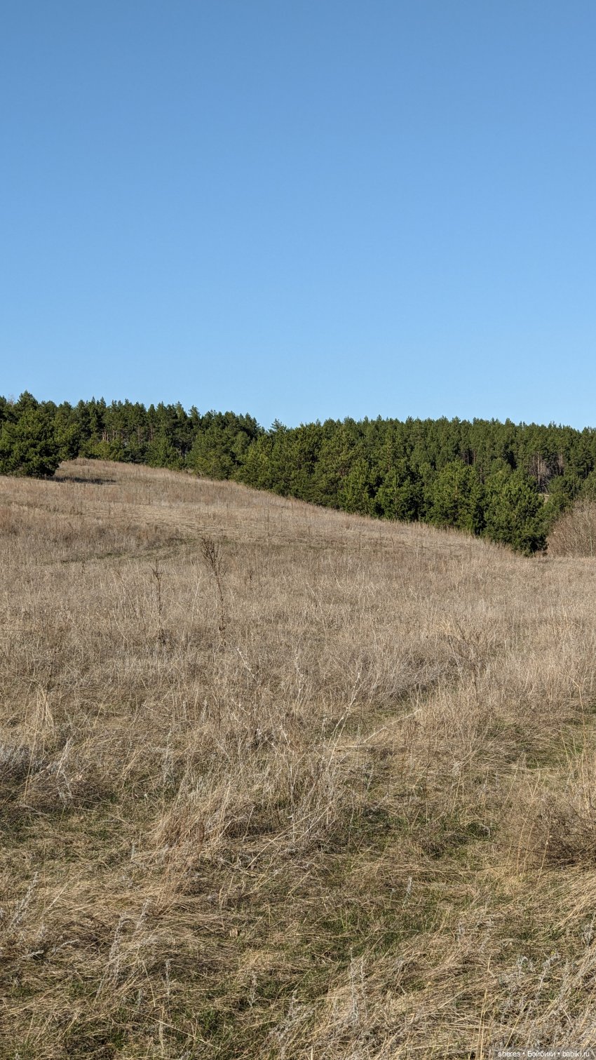 Полевой цветок — Коллекционные экшн