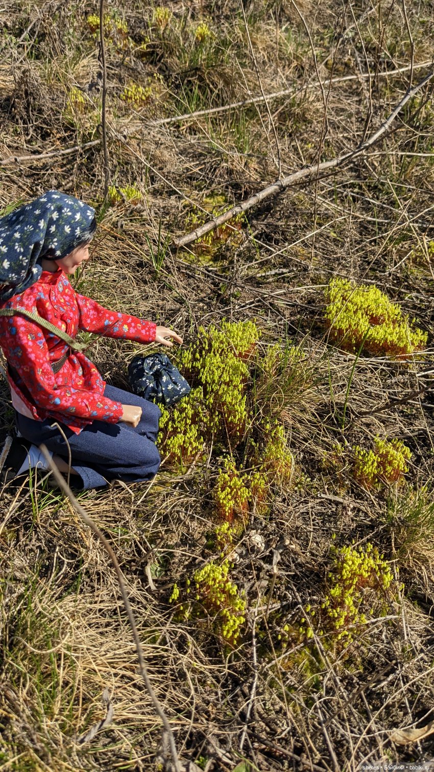 Полевой цветок — Коллекционные экшн