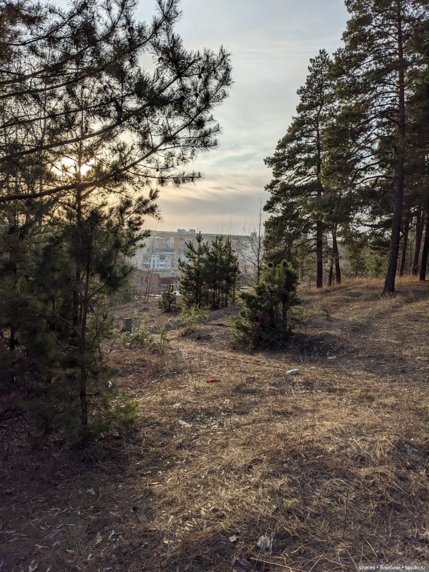 Назад в апрель | Бэйбики Назад в апрель — Коллекционные экшн