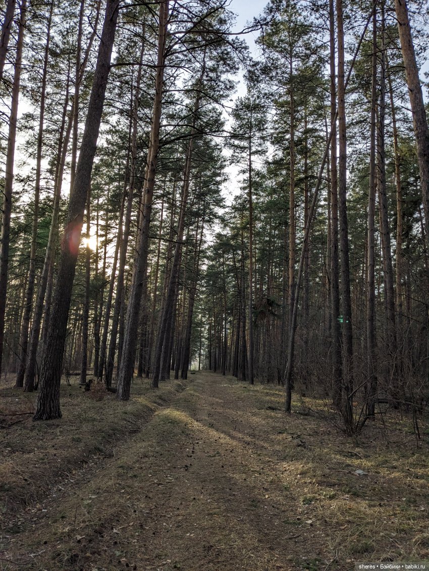 Назад в апрель | Бэйбики Назад в апрель — Коллекционные экшн (фото 2)