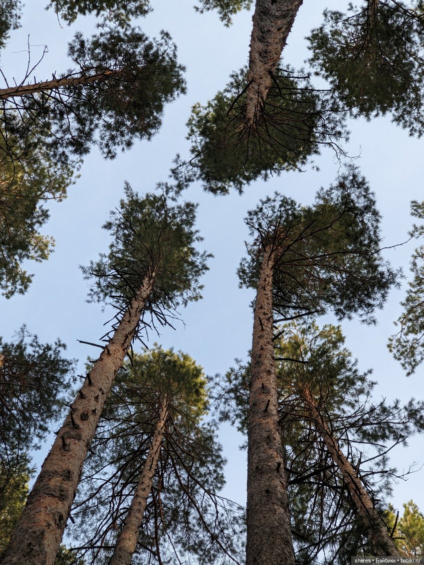 Назад в апрель | Бэйбики Назад в апрель — Коллекционные экшн (фото 10)