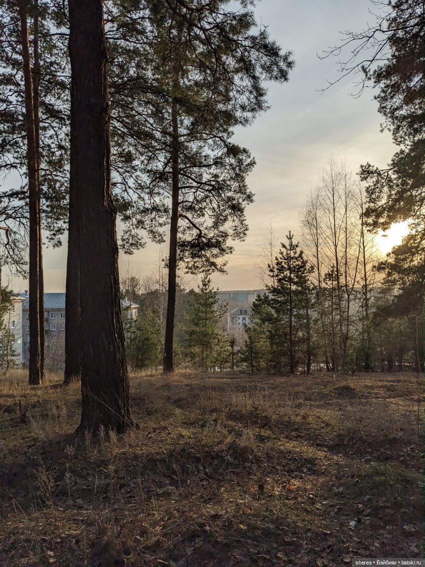 Назад в апрель | Бэйбики Назад в апрель — Коллекционные экшн
