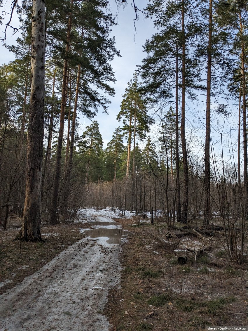 Назад в апрель | Бэйбики Назад в апрель — Коллекционные экшн