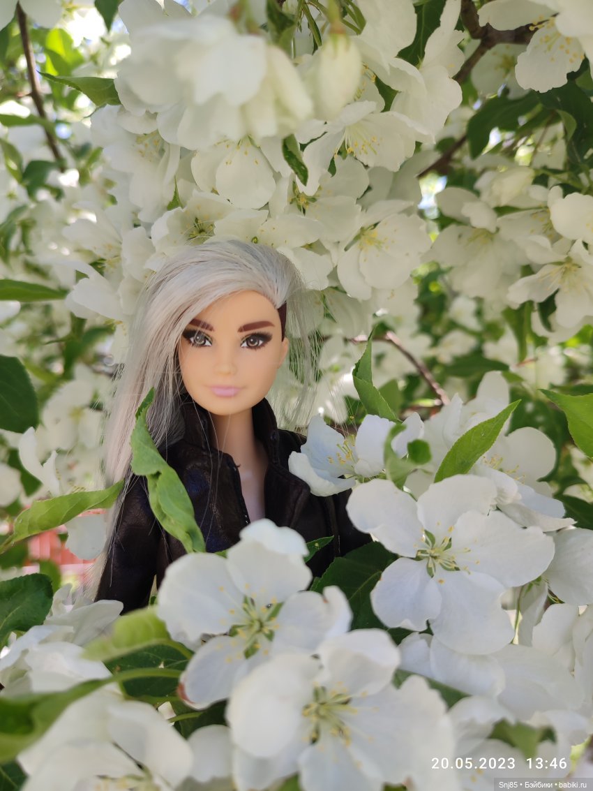 От Белки приветик!