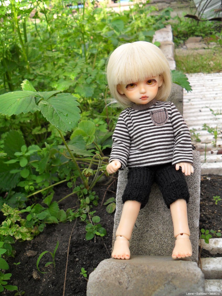 Чем заняться в карантин дома (фото 5)