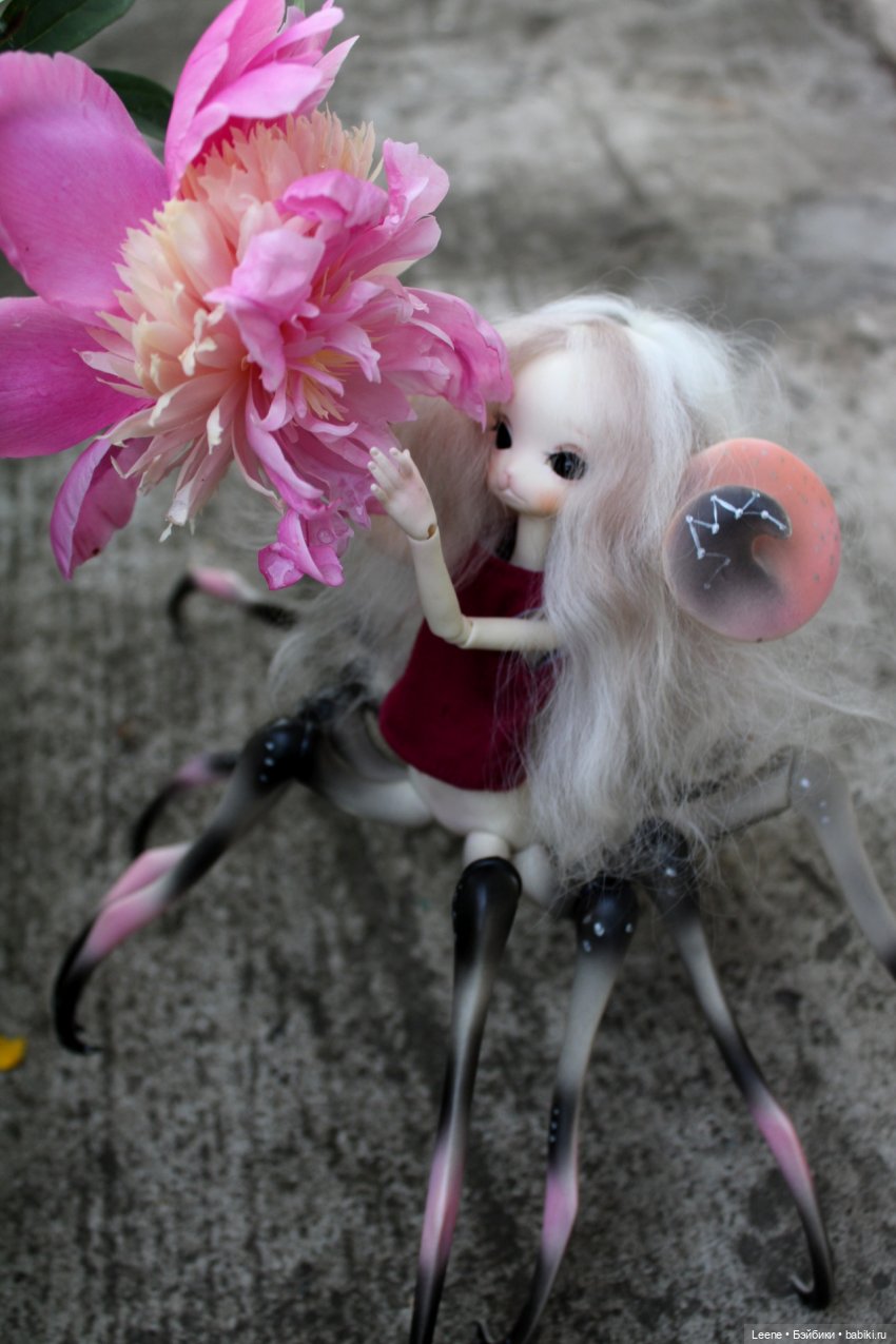 Июньские пионы — Куклы Doll Chateau (Доллшато): BJD (БЖД)