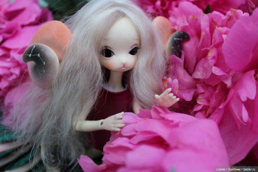 Июньские пионы — Куклы Doll Chateau (Доллшато): BJD (БЖД) (фото 3)