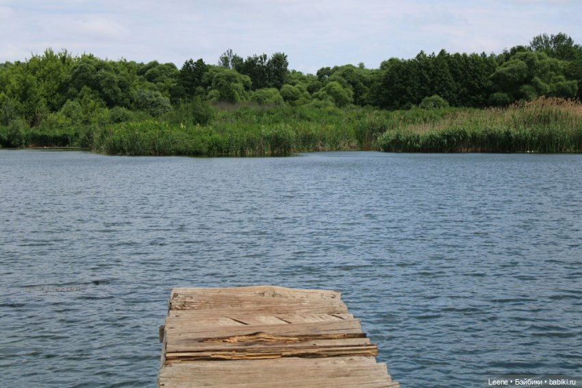 Июньская прогулка к озеру (фото 3)