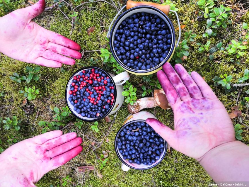 Отпускной фотоотчет — Фотоистории с куклами BJD (БЖД): сериалы