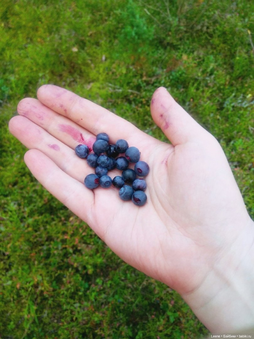 Отпускной фотоотчет — Фотоистории с куклами BJD (БЖД): сериалы