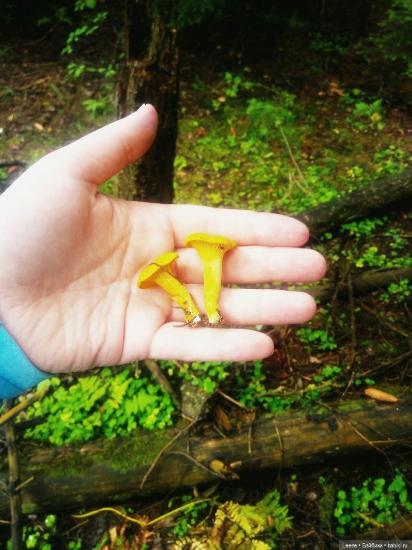 Отпускной фотоотчет — Фотоистории с куклами BJD (БЖД): сериалы