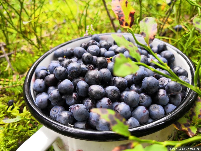 Отпускной фотоотчет — Фотоистории с куклами BJD (БЖД): сериалы