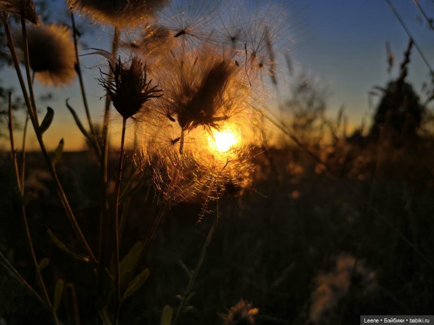 Отпускной фотоотчет — Фотоистории с куклами BJD (БЖД): сериалы (фото 10)