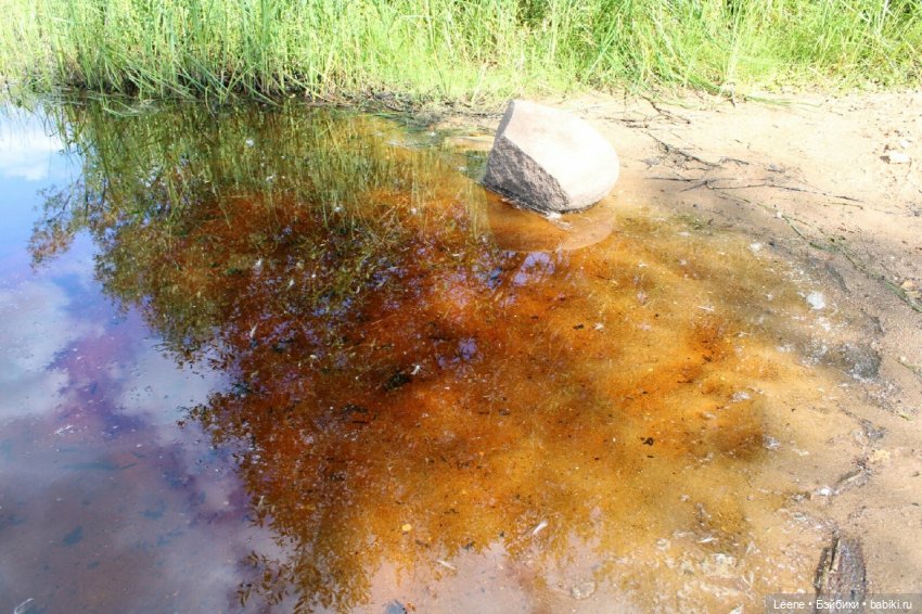 Отпускной фотоотчет — Фотоистории с куклами BJD (БЖД): сериалы