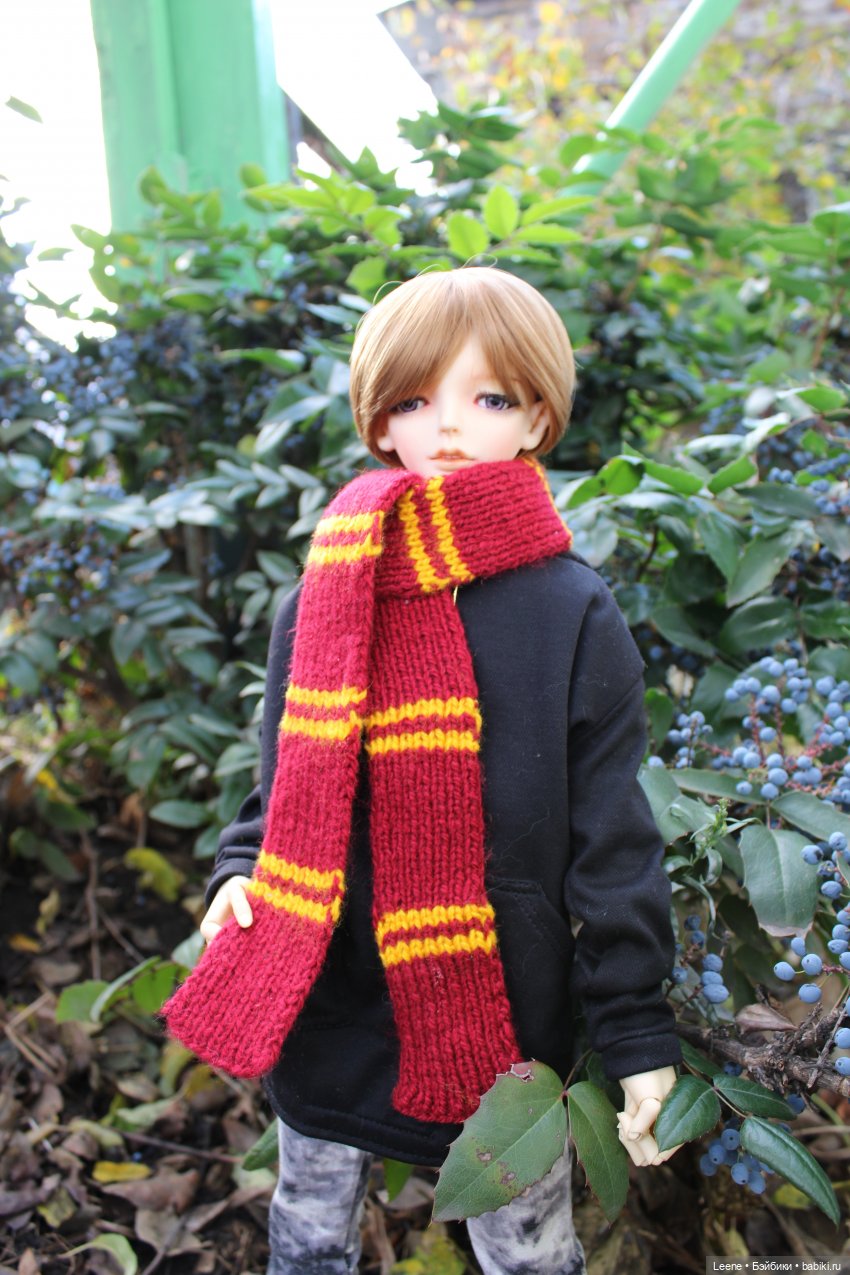 Фотосет с шарфиками — Куклы Doll Leaves (Долл Ливз): BJD (БЖД) (фото 2)