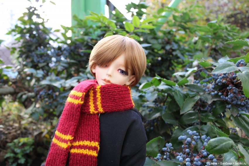 Фотосет с шарфиками — Куклы Doll Leaves (Долл Ливз): BJD (БЖД) (фото 3)