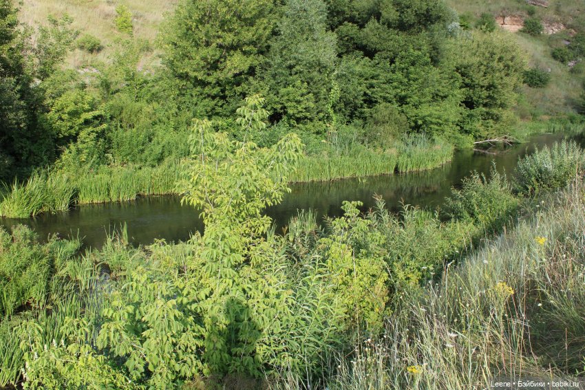 Поездка в Аргамач — Фотоистории с куклами BJD (БЖД): сериалы