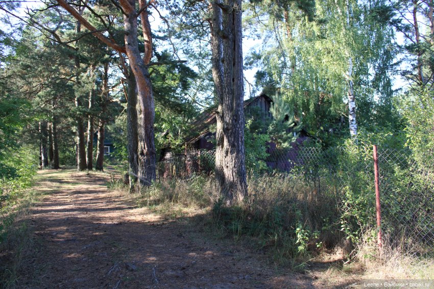 Отпуск в деревне, часть 1 (фото 10)