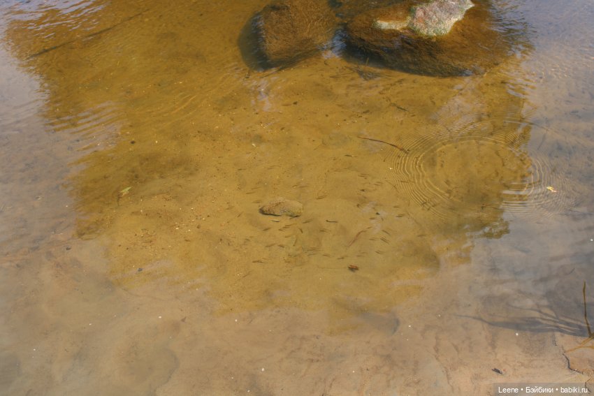 Отпуск в деревне, часть 2