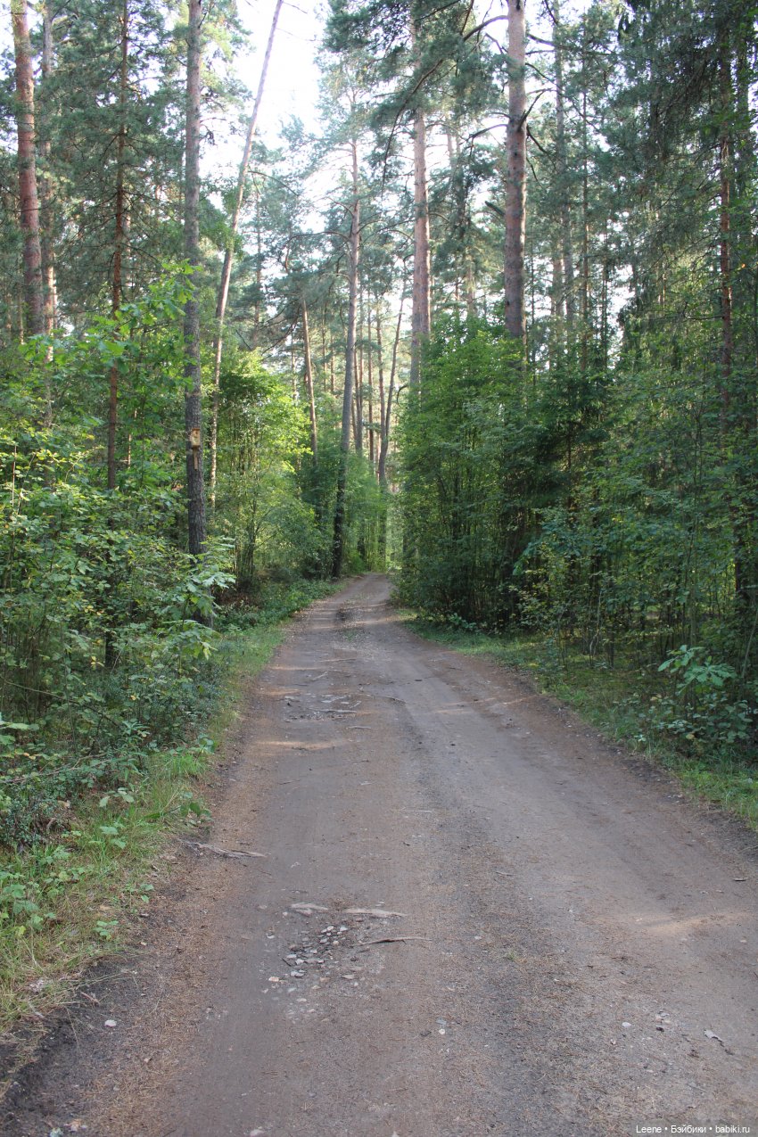Отпуск в деревне, часть 2 (фото 8)