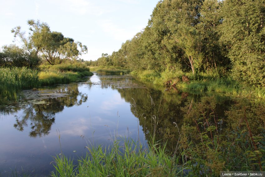 Отпуск в деревне, часть 2 (фото 4)