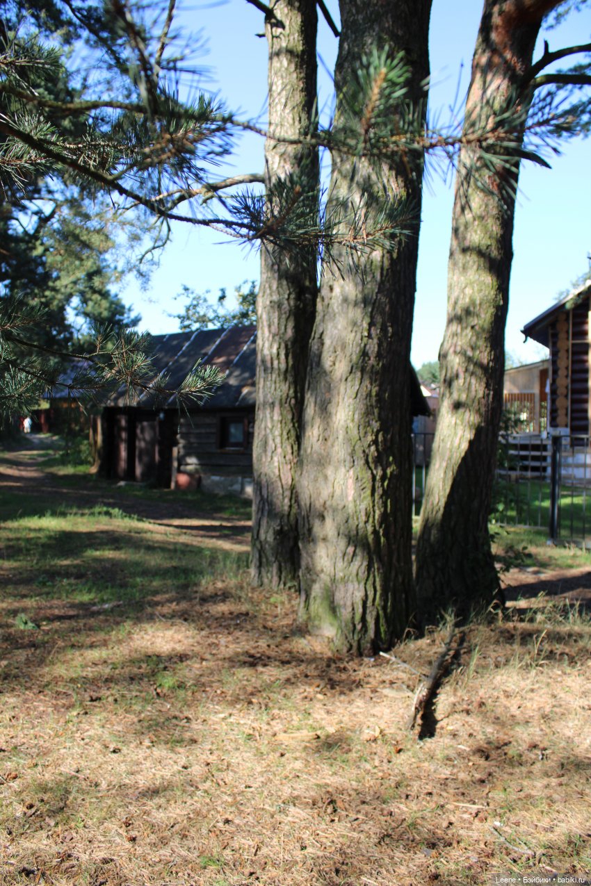 Отпуск в деревне, часть 1