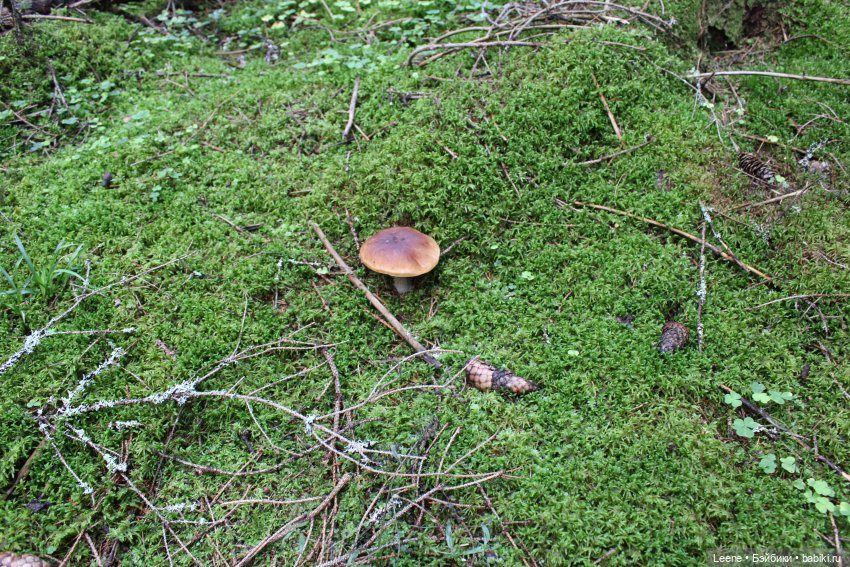 Отпуск в деревне, часть 2