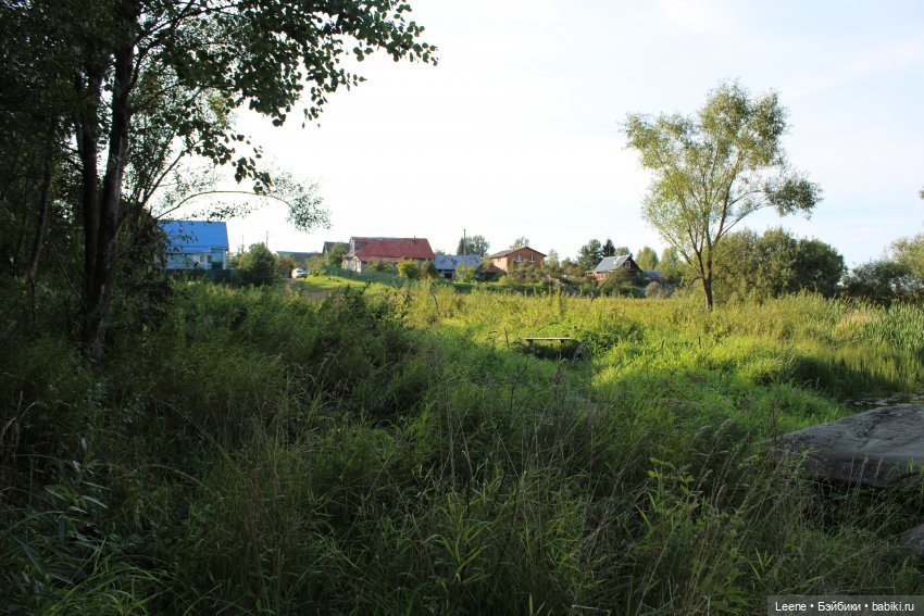 Отпуск в деревне, часть 2 (фото 2)