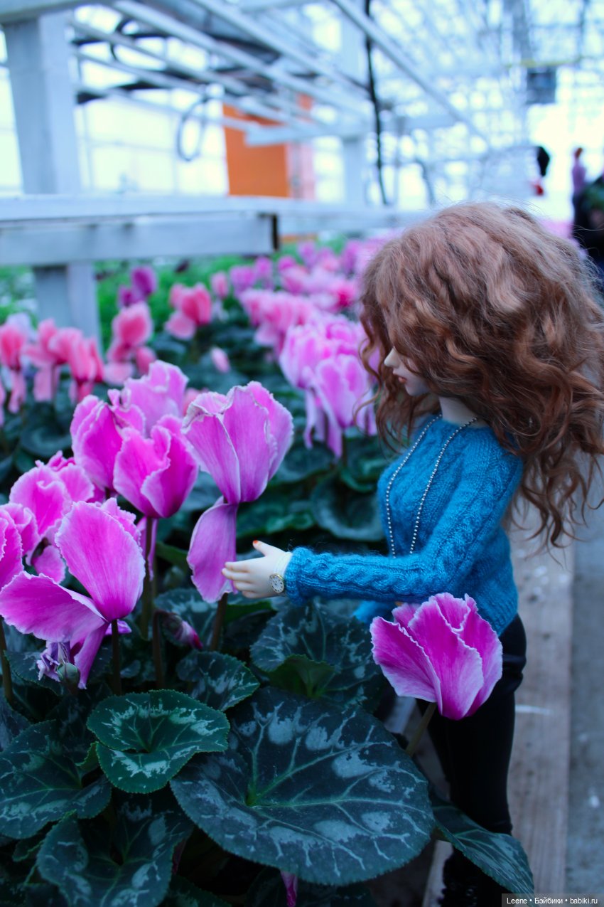 Прогулка по теплицам и зимнему лесу "Открывая весну" (фото 3)