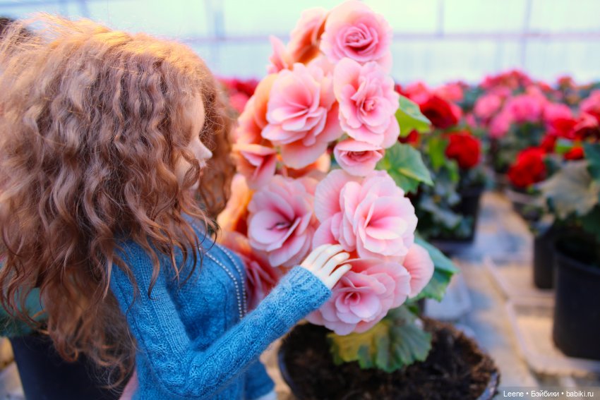 Прогулка по теплицам и зимнему лесу "Открывая весну" (фото 8)